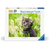 Ravensburger Kätzchen in der Wiese 12000367