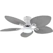 Globo Elise