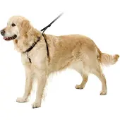 Flamingo Easy Walker Training Leash 31-39 Cm