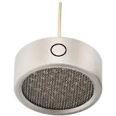 Warm Audio WA84-Omni Capsule-Nickel