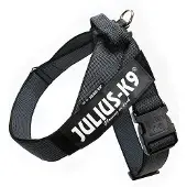 JULIUS K-9 Idc Mini Norwegian Hundegeschirr