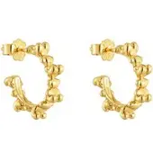 Tous Ohrringe Bold Bear 1004341700 Goldfarben