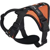 JULIUS K-9 Longwalk Light Hundegeschirr