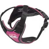 JULIUS K-9 Idc Longwalk Hundegeschirr
