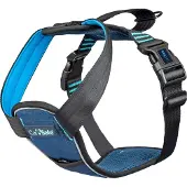 Company of animals CarSafe Crash Tested - Dog Harness - Blue - L