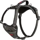 Halti Anatomy Harness - Grau - M