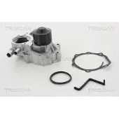 TRISCAN Wasserpumpe 8600 68022