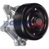 BOGAP Wasserpumpe Premium T4234115