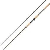 Abu Garcia Beast Pro2 Baitcastrute