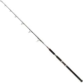 Jenzi Wallerrute Baitmaster Vertical 100-250g 1,70m