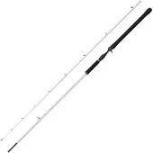 Abu Garcia BEAST X2 802 H Trolling Cast 2,44m 30-100g - Schlepprute