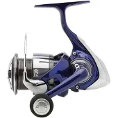 Daiwa Team R 2024 Karpfenrolle