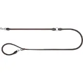 Blaser Hundeleine Leder