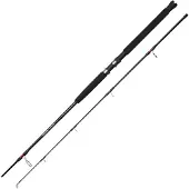 Ugly Stik Bigwater 270cm 20-60G 9Ft Spinnrute, Angelrute Spinnrute 1580518
