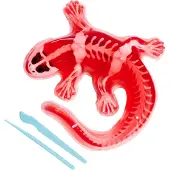 Simba Scout Dissect-It Salamander