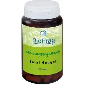 BioPräp Salai Guggal Weihrauch Kapseln 100 St