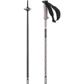 Salomon Polar Pro Stöcke