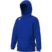 Arena Team Hooded Sweat Panel