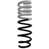 SPIDAN Fahrwerksfeder 87749