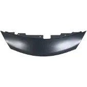 BLIC Motorhaube, Teile 6502-07-1638210P