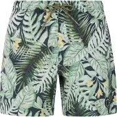 Protest Herren Badeshorts PRTGLORY