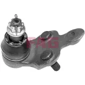 Fag Traggelenk für LEXUS RX (MHU3, GSU3, MCU3) 825 0151 10