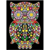 Stepp Malbuch Colorvelvet A4 Eule – Sp. z o.o.