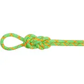 Mammut - 8.0 Alpine Core Protect Dry Rope - Halbseil Gr 50 m grün