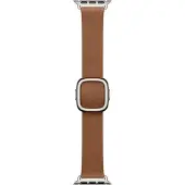 Apple Modern Buckle