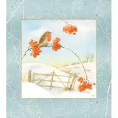 Sonstige Verlage Wandkalender Wintermorgen mit Rotkehlchen