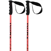 Völkl Speedstick Stöcke