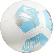 Puma Big Cat ball