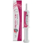JM Sante Gastro-butyrat-ergänzung Für Katzen 60 Ml