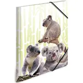 Herma 3 Sammelmappen DIN A4 Koalas