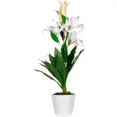 PaperFlow LILIENBLUME Kunstpflanze 65,0 cm