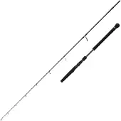 Savage Gear Defiance Sg2 Light Leichte Jiggingrute