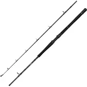 Savage Gear Fury Sg2 Boat 2.13m 20-30lb 150-400g - Angelrute