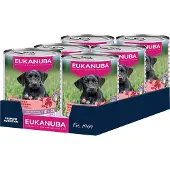 Eukanuba Dog Puppy - Nassfutter - Rindfleisch & Kürbis - 6 x 400 g