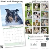 Baker & Bray Shetland-Sheepdog-Kalender 2027