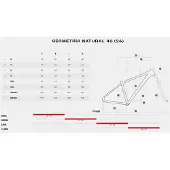 Megamo Natural 40 29´´ Acera 2026 Mountainbike