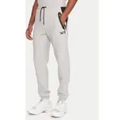 Reebok Jogginghose RK25145CCM Grau Regular Fit