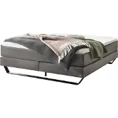 Hasena Pronto Julieta Boxspringbett metall/schwarz