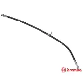 Brembo Bremsschlauch ESSENTIAL LINE T 83 119