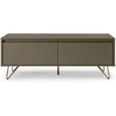SalesFever Lowboard aus MDF | 1 Schublade und 1 Klappfach | Beine Metall mit Messinglegierung | B 120 x T 40 x H 45 cm | grau
