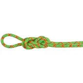 Mammut - 8.0 Alpine Core Protect Dry Rope - Halbseil Gr 70 m grün