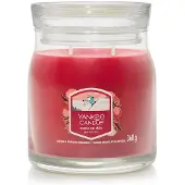 Yankee candle Santa On Skis 368 g