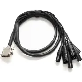 Warm Audio Prem-DB25-XLRm-10 Inch