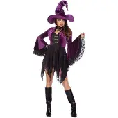 Coppens Hexenkleid aus lila Samt