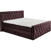 On24 ED Lifestyle Cashfield 8 Boxspringbett Holzwerkstoff/Tonnentaschenfederkern H2 180x200cm Aubergine