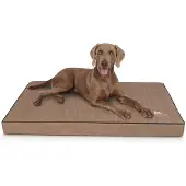 Knuffelwuff orthopädische Hundematte Palomino 1 St